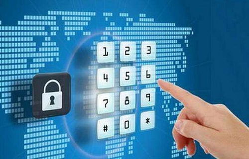 計算機軟件開發概述 軟件定義、分類及開發過程